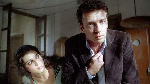 Secret Journey filmas žiurėti online