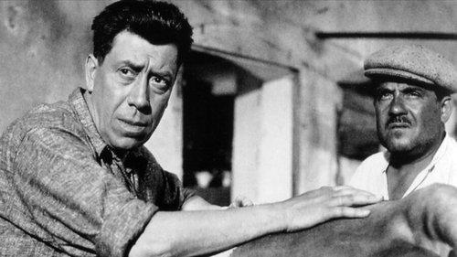 The Hunting Ground filmas žiurėti online