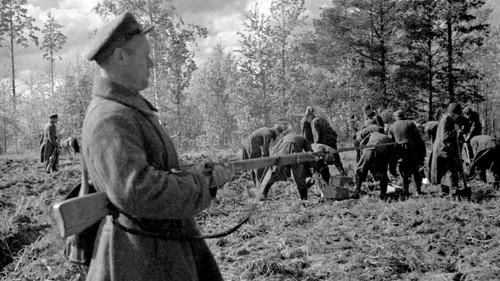 Stalin and the Katyn Massacre filmas žiurėti online