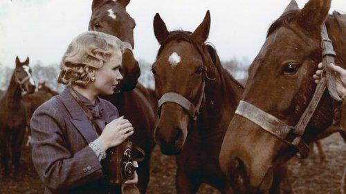 Wherever You Are... filmas žiurėti online