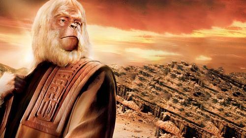 Po Beždžionių Planeta filmas žiurėti online