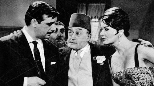 Noi duri filmas žiurėti online