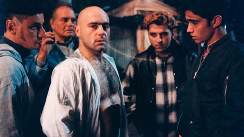 Il branco filmas žiurėti online