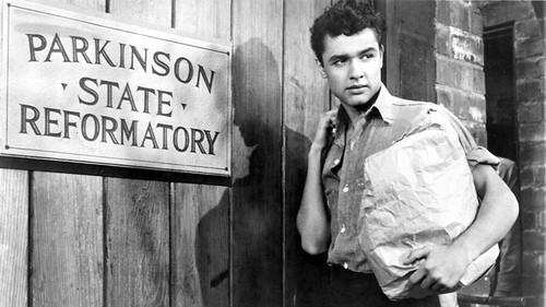 Dino filmas žiurėti online