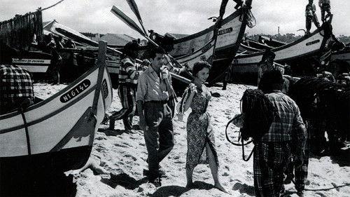 Lovers' Net filmas žiurėti online