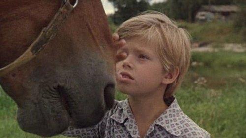 A Collar for Marquis filmas žiurėti online