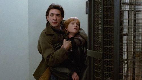 The Bitch filmas žiurėti online