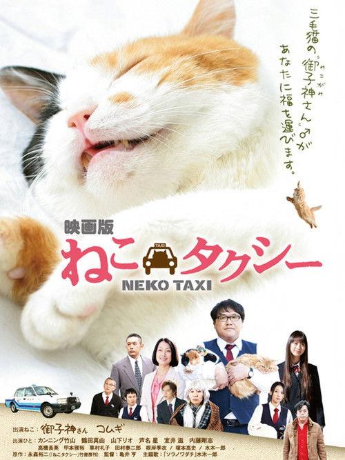 Cat Taxi filmas online