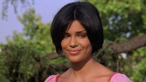 Sexy Comedy filmas žiurėti online