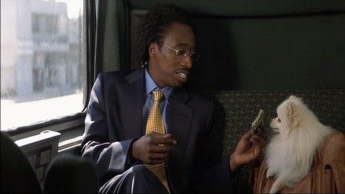 Double Take filmas žiurėti online