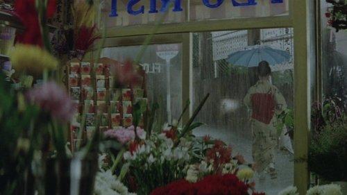 A Geisha's Diary filmas žiurėti online