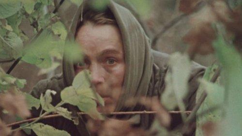 Sign of Disaster filmas žiurėti online