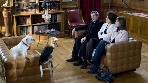 Tresor filmas žiurėti online