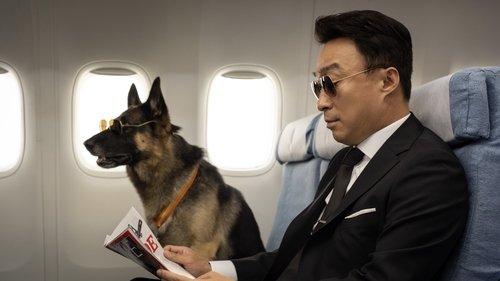 미스터 주: 사라진 VIP filmas žiurėti online