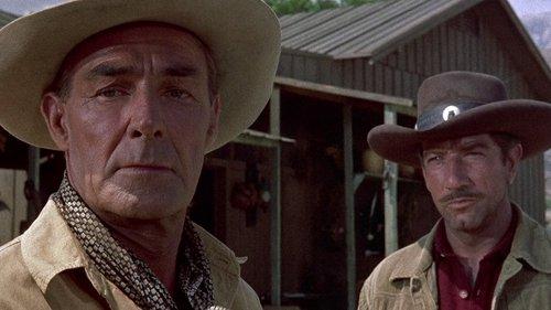 The Tall T filmas žiurėti online