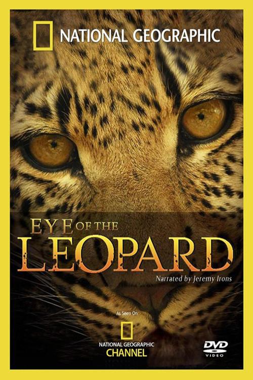 Eye of the Leopard filmas online