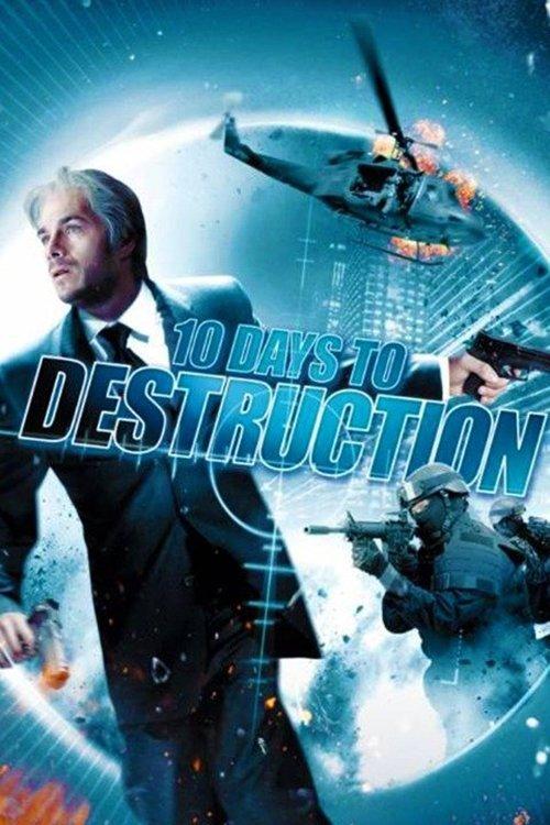 The Flight of the Swan filmas online