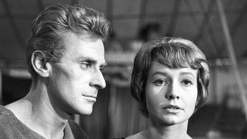 The Impossible Goodbye filmas žiurėti online