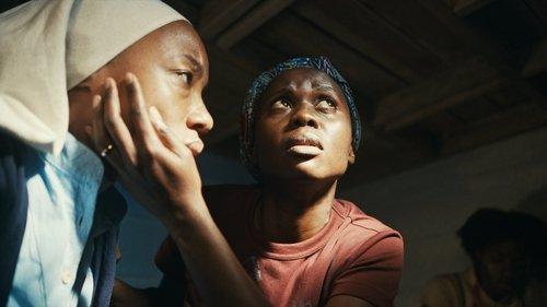 Trees of Peace filmas žiurėti online