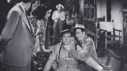 Boom in the Moon filmas žiurėti online