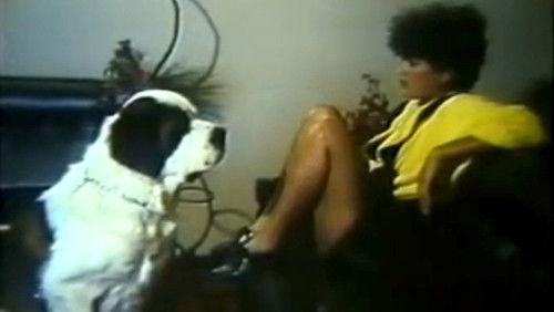 Meu Cachorro, Meu Amante filmas žiurėti online