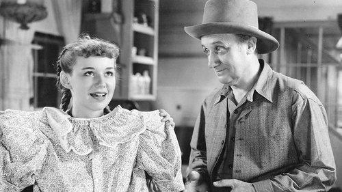 Anne of Green Gables filmas žiurėti online