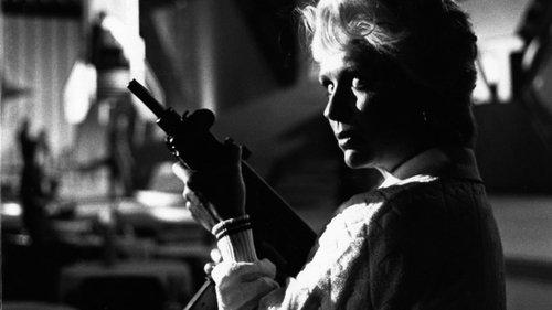 Hitting the Fan! filmas žiurėti online