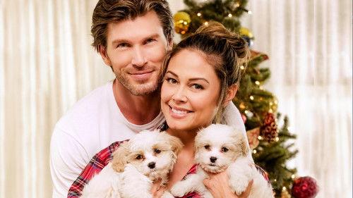 Pabėgęs per Kalėdas filmas žiurėti online