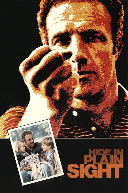 Hide in Plain Sight filmas online