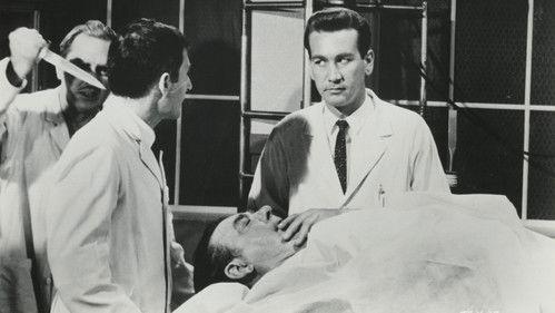 Gallery of Horror filmas žiurėti online