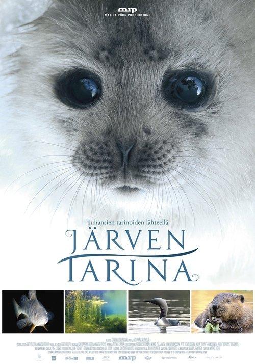 Järven tarina filmas online