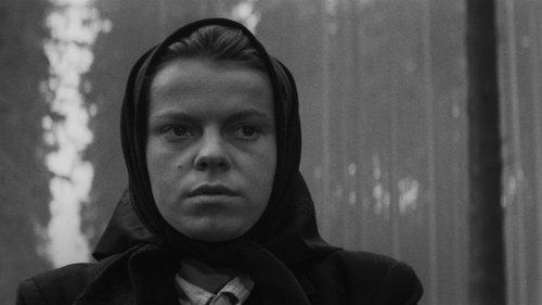 Carriage to Vienna filmas žiurėti online