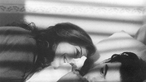 Rosa Funzeca filmas žiurėti online