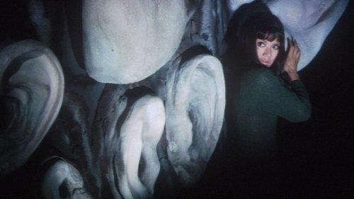 Blind Beast filmas žiurėti online