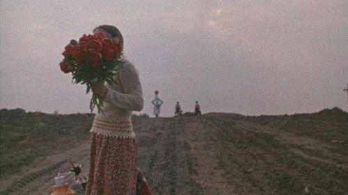 Getting to Know the Big Wide World filmas žiurėti online