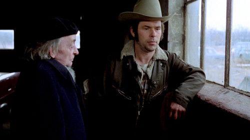 Stroszek filmas žiurėti online