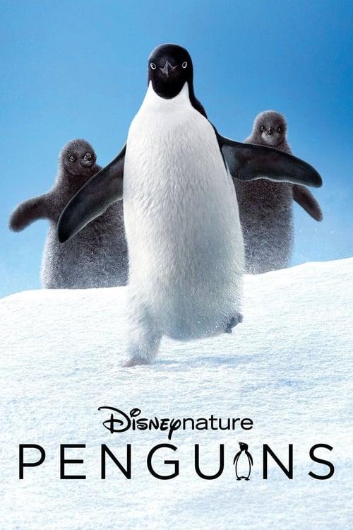 Penguins filmas online