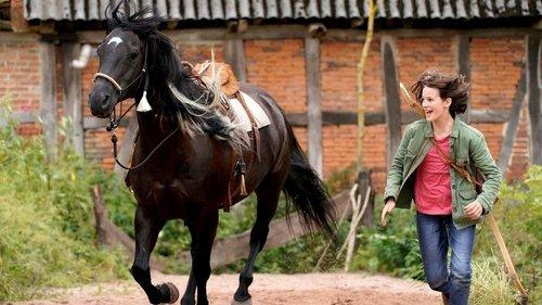 Ostwind - Der große Orkan filmas žiurėti online