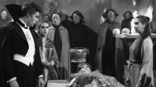 The World of the Vampires filmas žiurėti online