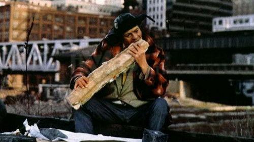 My Name Is Rocco Papaleo filmas žiurėti online