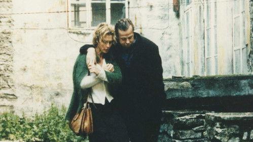 True Moments filmas žiurėti online