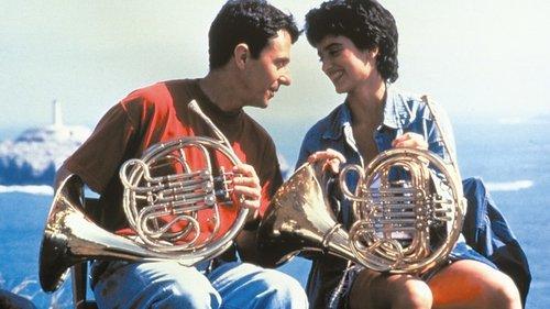 Alegre ma non troppo filmas žiurėti online