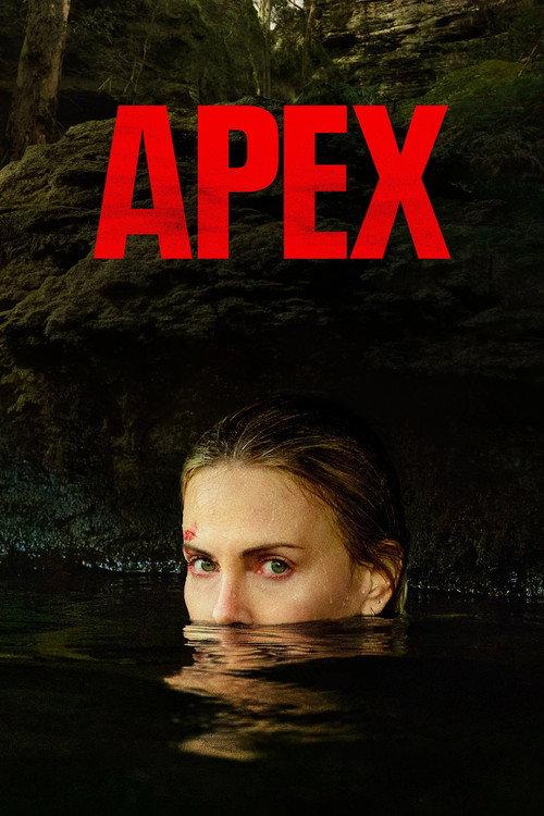 Viršūnė filmas online