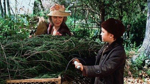 A Christmas Memory filmas žiurėti online