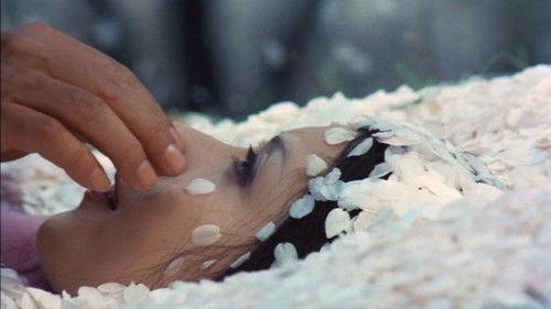 Under the Blossoming Cherry Trees filmas žiurėti online