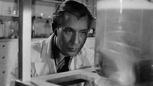 Narkos filmas žiurėti online