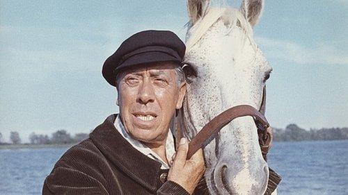 Happy He Who Like Ulysses filmas žiurėti online