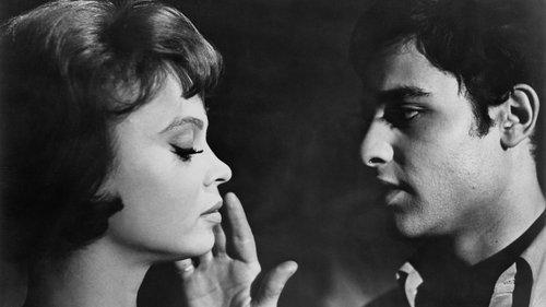 Who Killed Teddy Bear? filmas žiurėti online