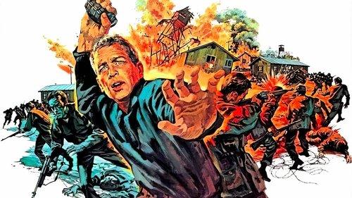 The Secret War of Harry Frigg filmas žiurėti online