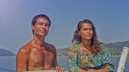 What's Fatmagül's Fault filmas žiurėti online